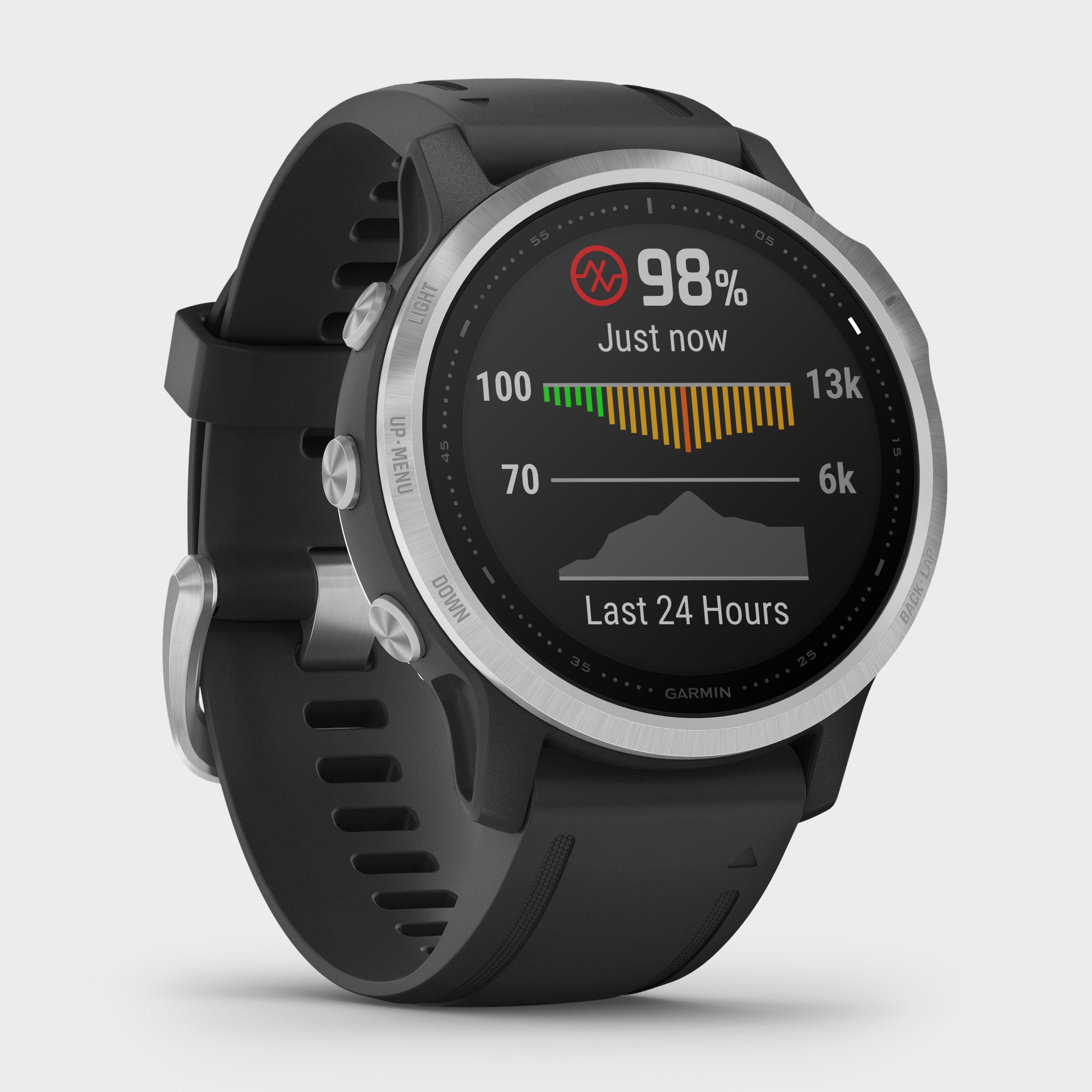 Fenix® 6S Multi-Sport GPS Watch