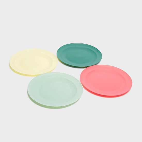 4 Piece Picnic Plate Set