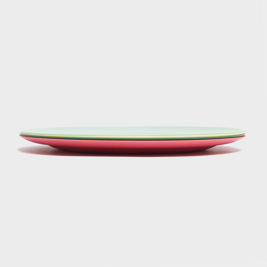 4 Piece Picnic Plate Set