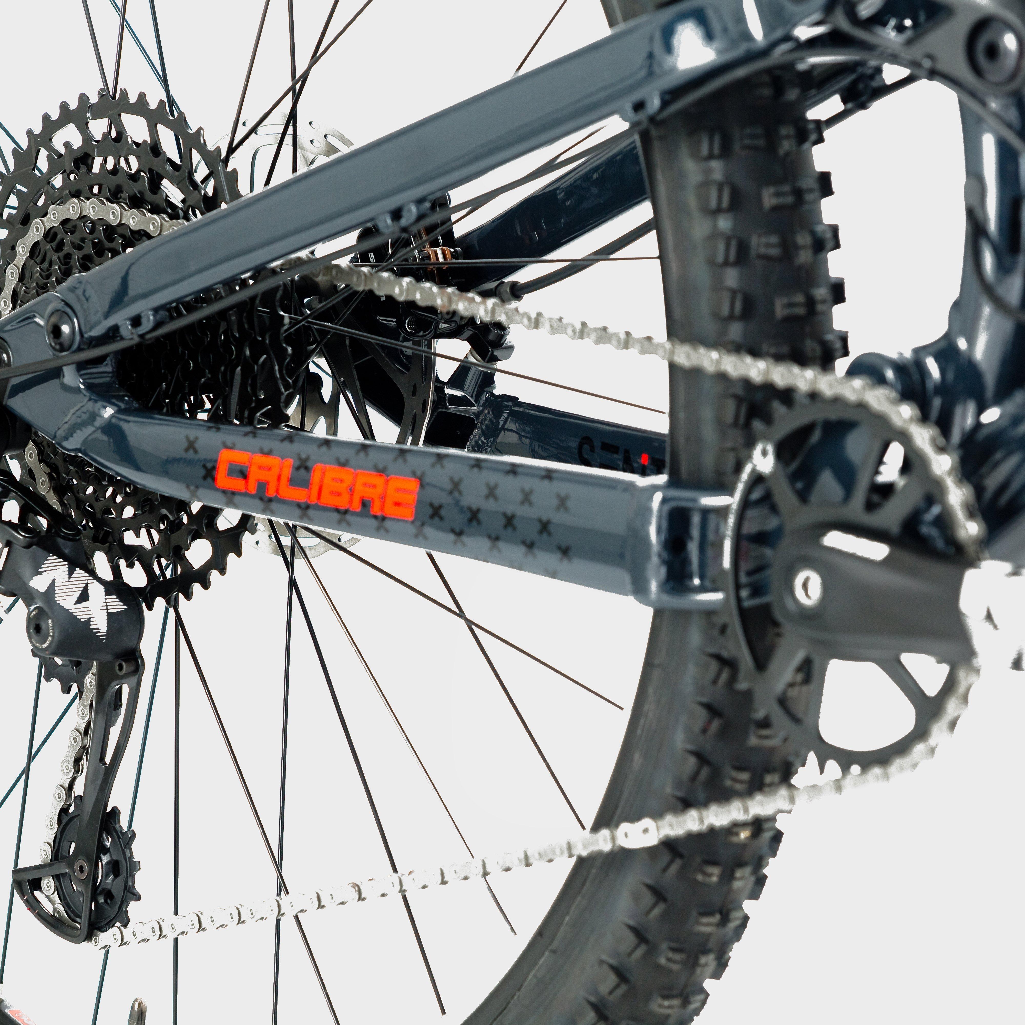 Sentry Bike