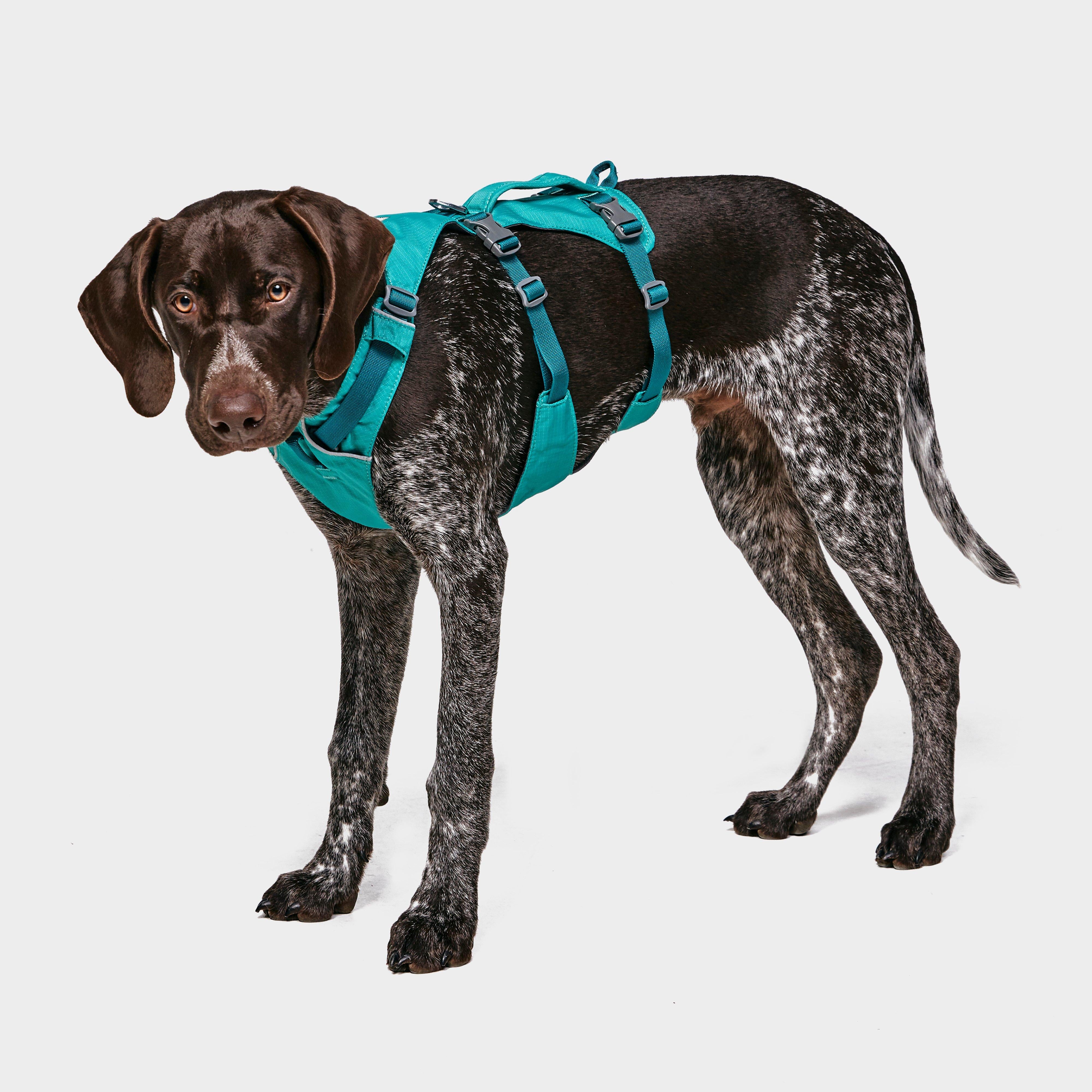 Flagline Dog Harness
