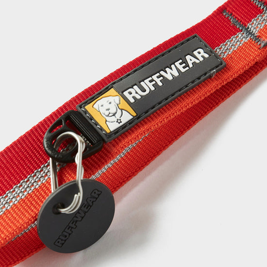 Crag Dog Collar
