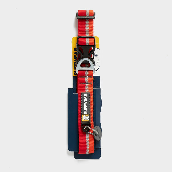 Crag Dog Collar