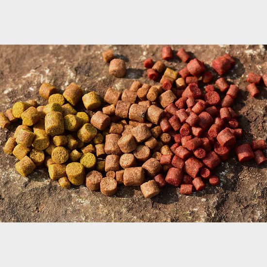 Big Fish River Pellets in Cheese and Garlic (4, 6 and 8mm)