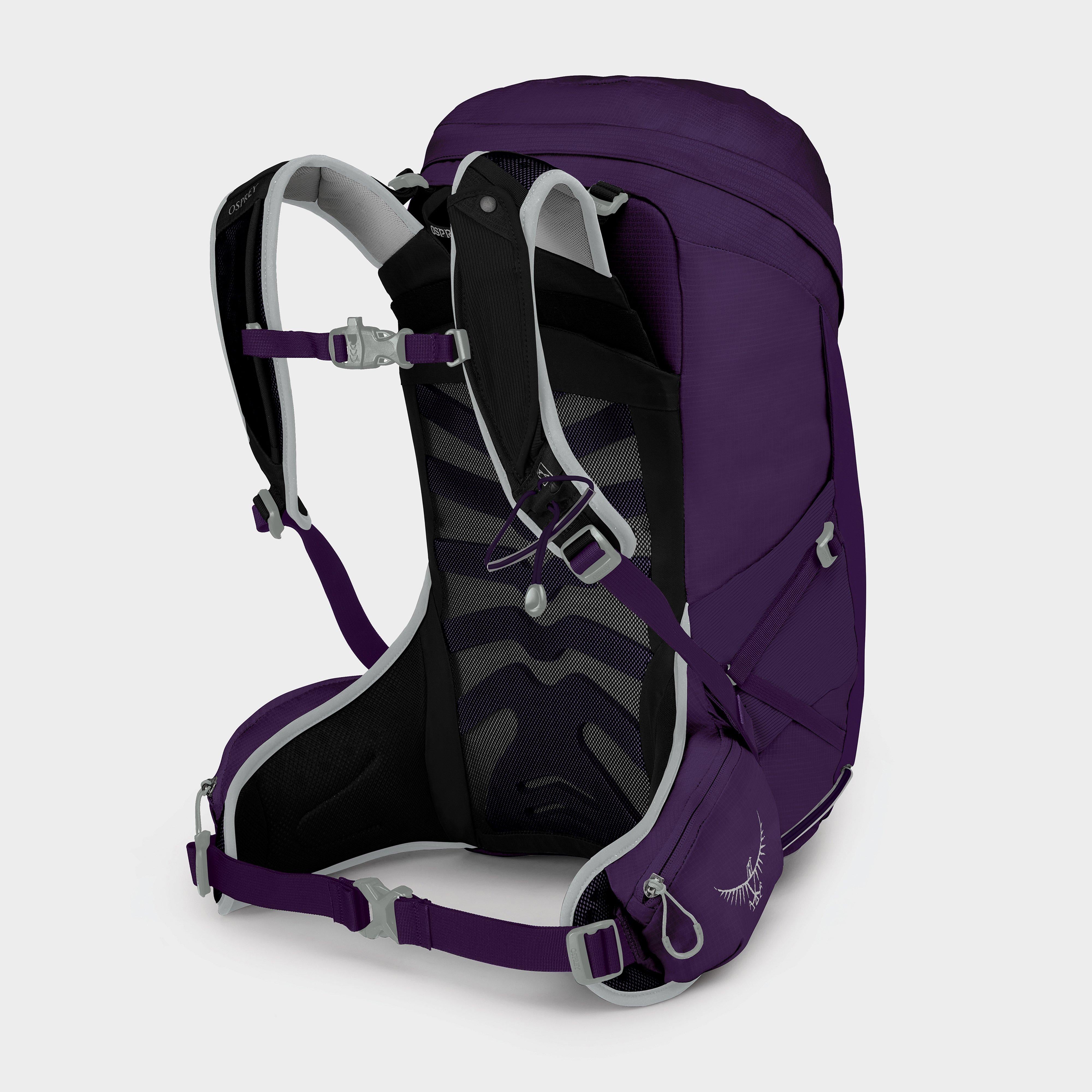 Women's Tempest 24L Daysack