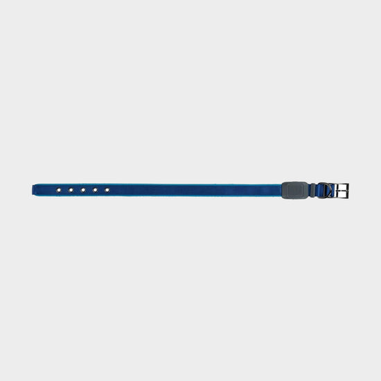 Nitedog® LED Rechargeable Collar Blue Large