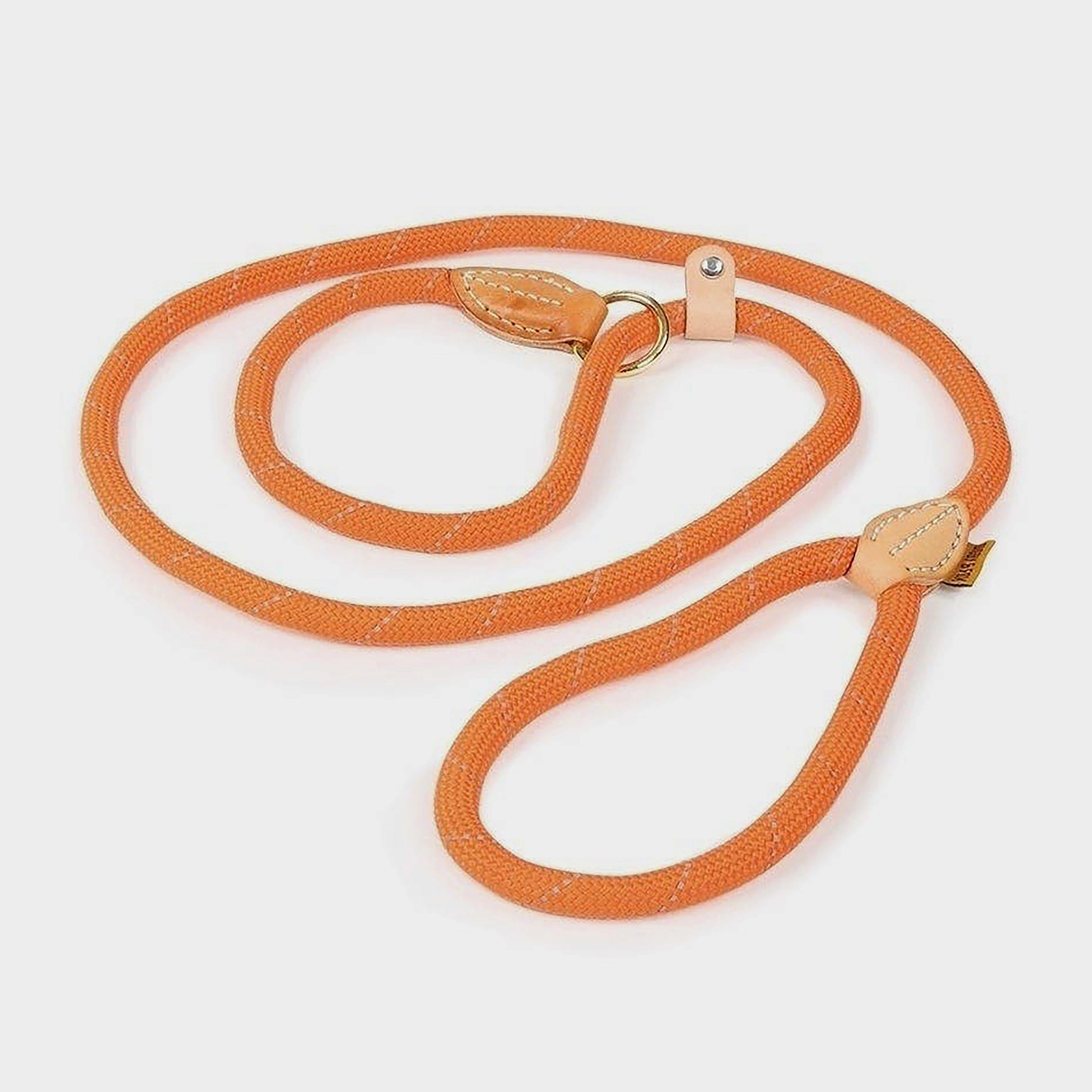 Digby & Fox Reflective Slip Dog Lead