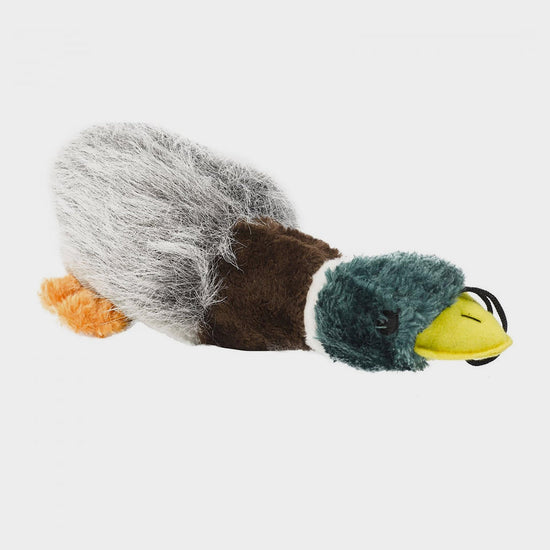 Honking Duck