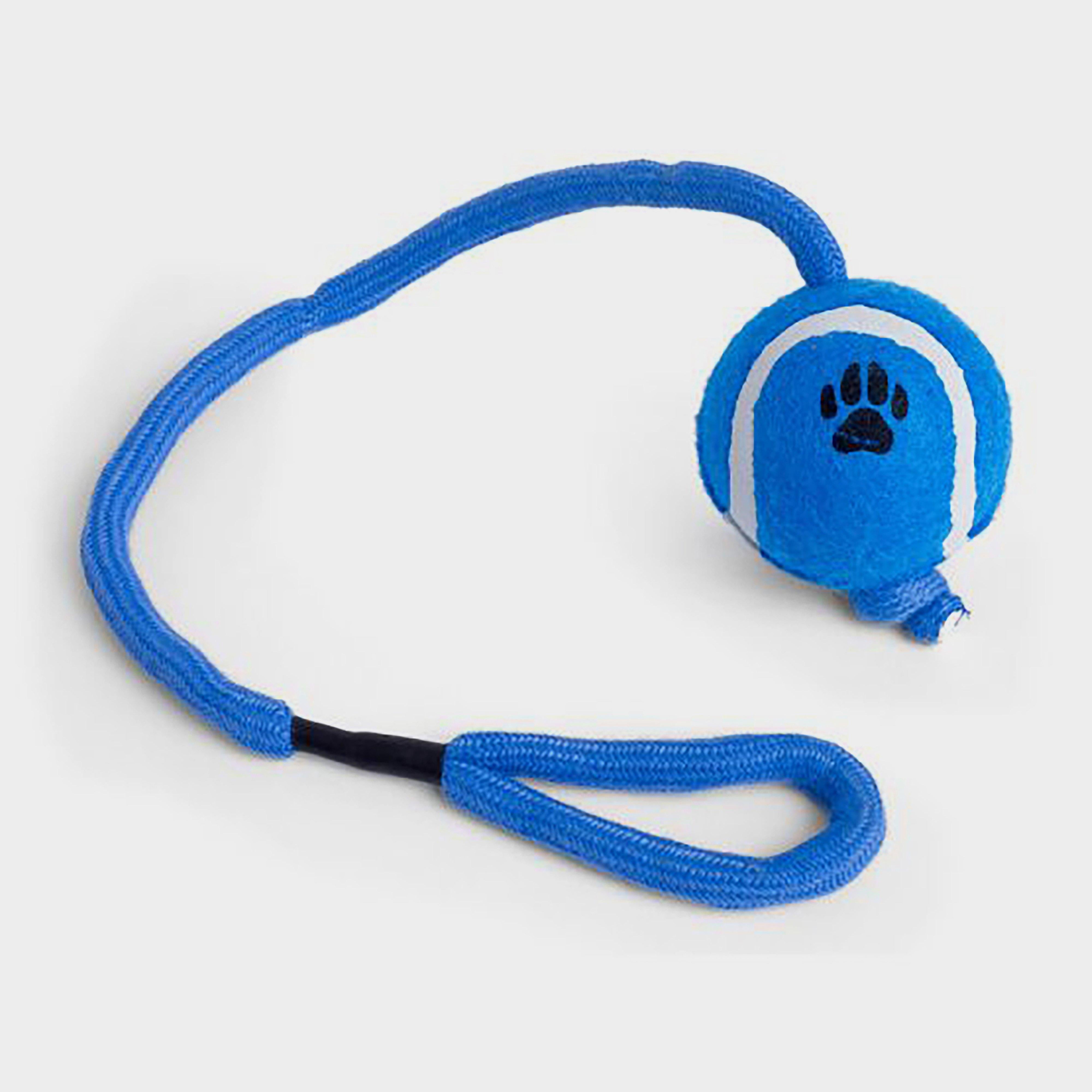 Ball on a Rope