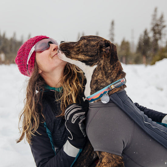 Crag Reflective Dog Collar