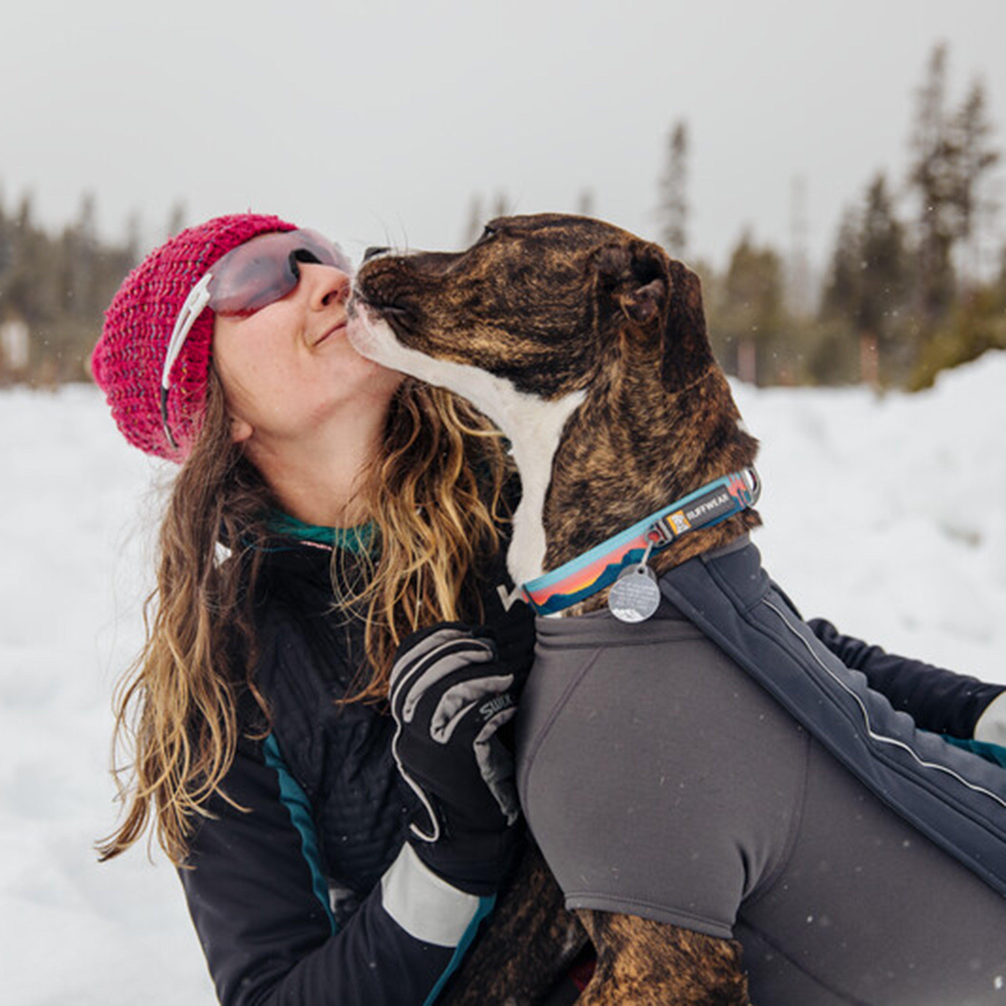 Crag Reflective Dog Collar