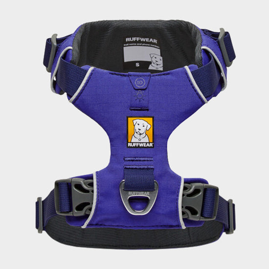 Front Range Dog Harness Purple