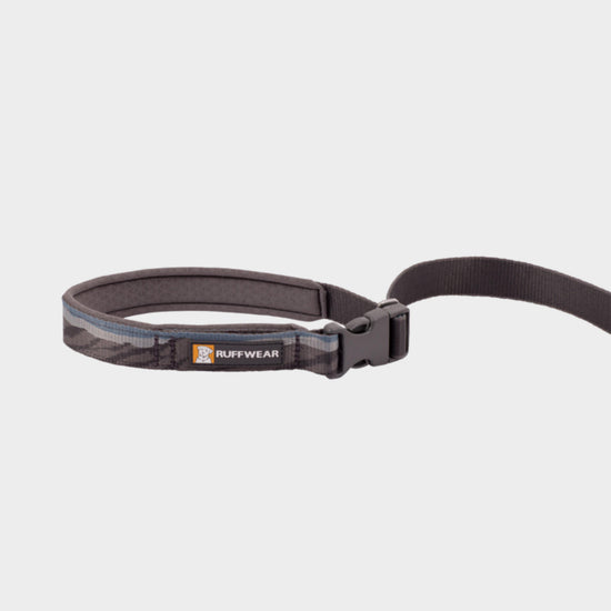 Flat Out Adjustable Dog Lead