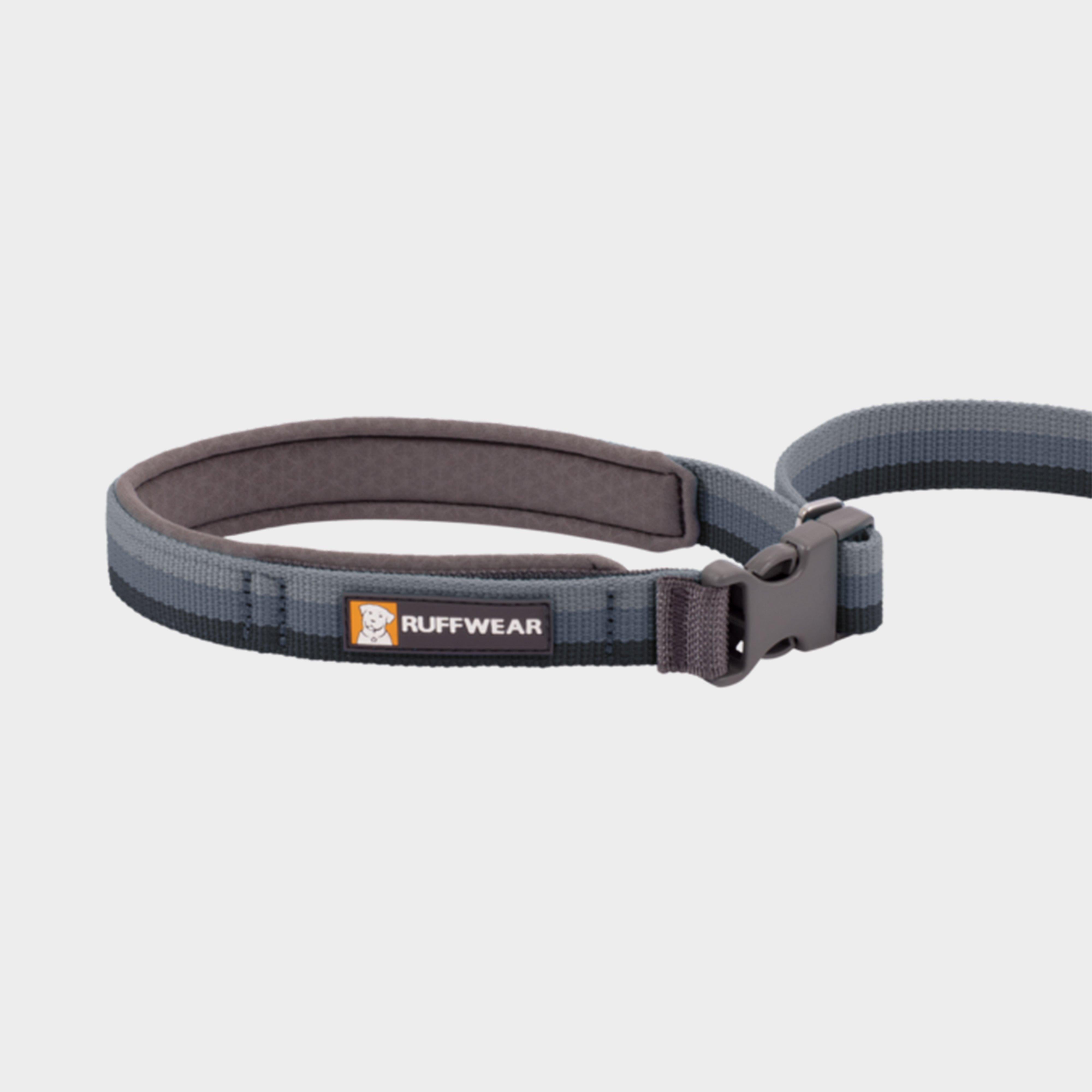 Roamer™ Dog Lead