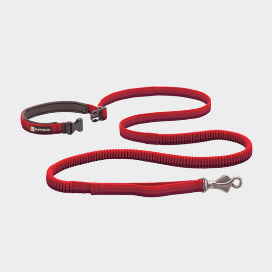 Roamer™ Dog Lead