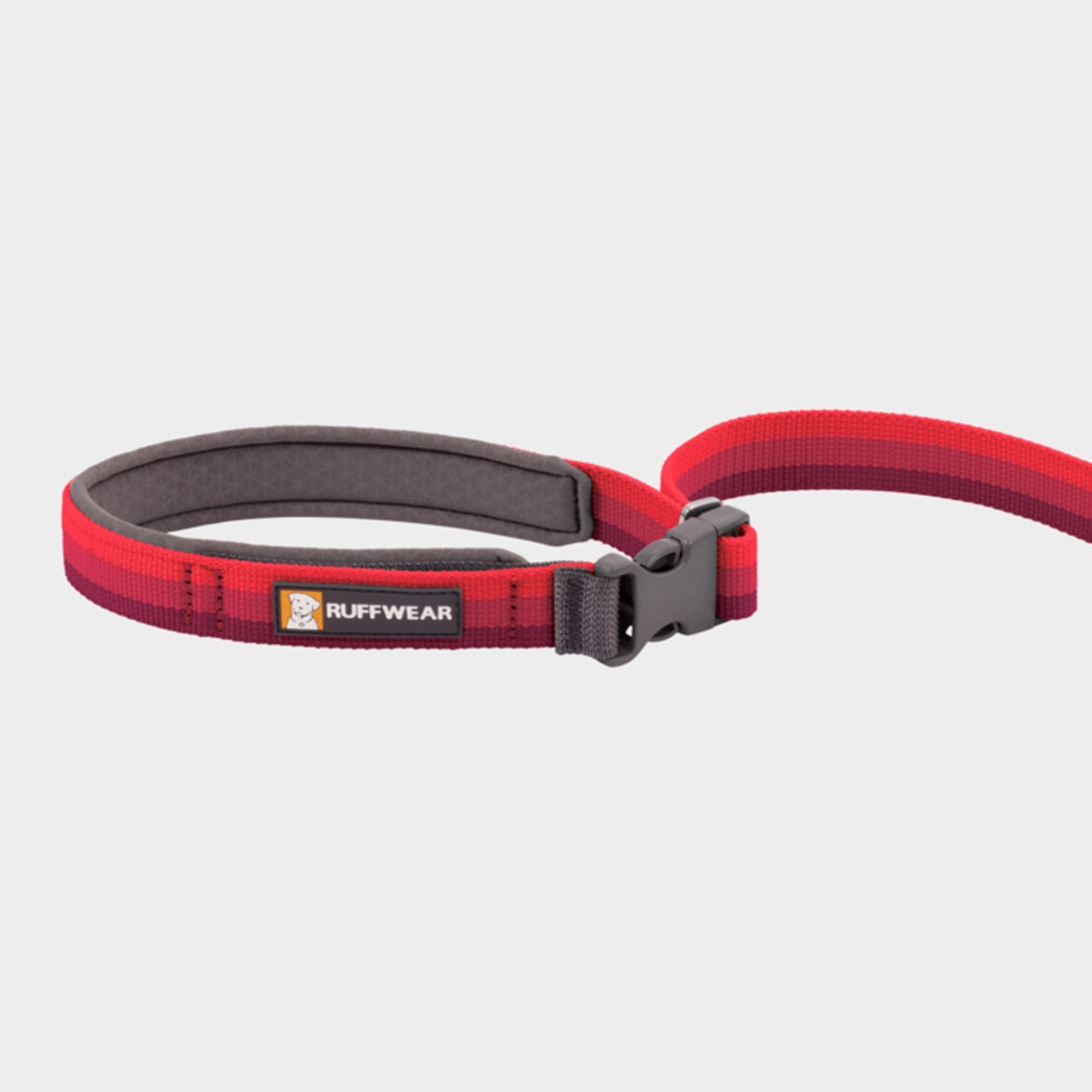 Roamer™ Dog Lead