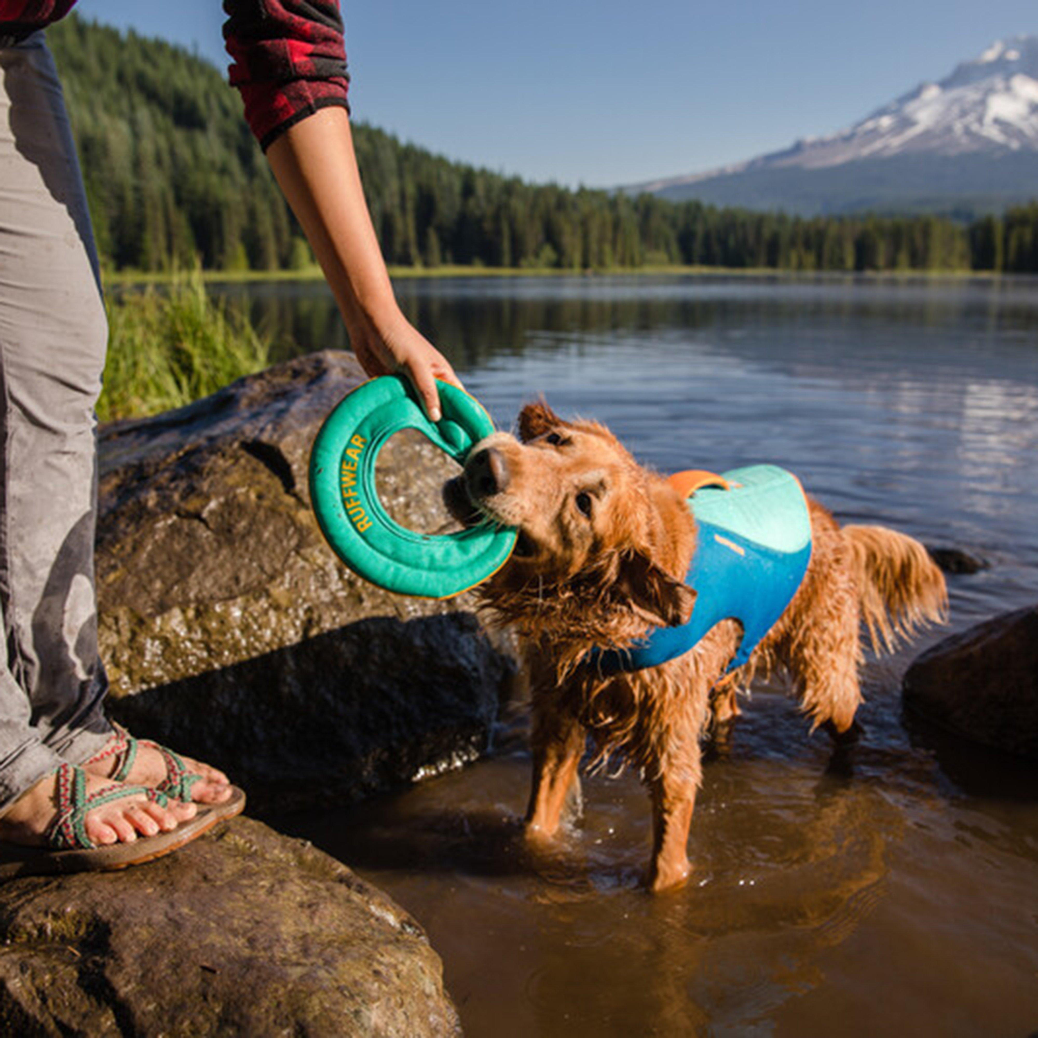 Hydro Plane™ Floating Throw Dog Toy Large