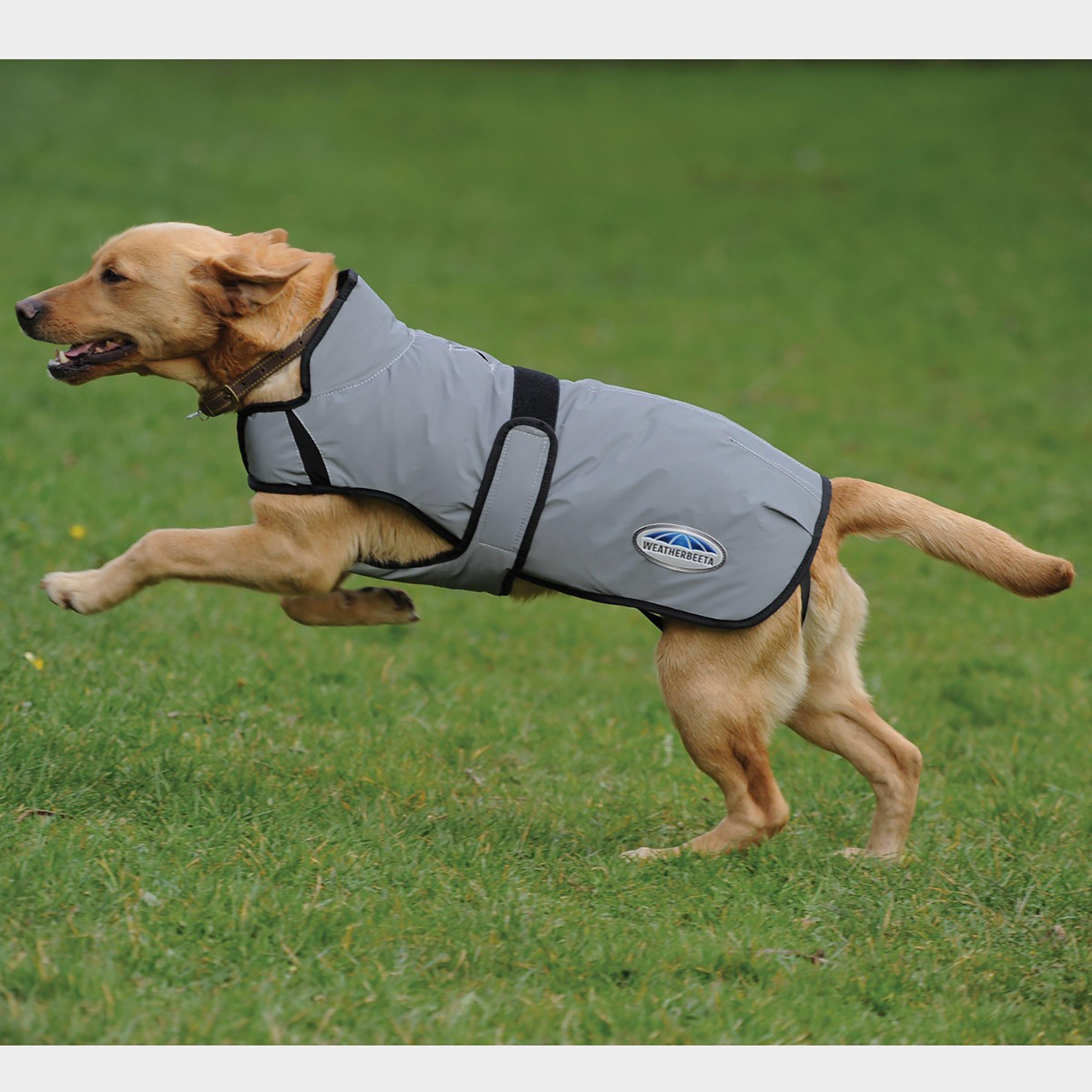 Comfitec Reflective Dog Coat Medium