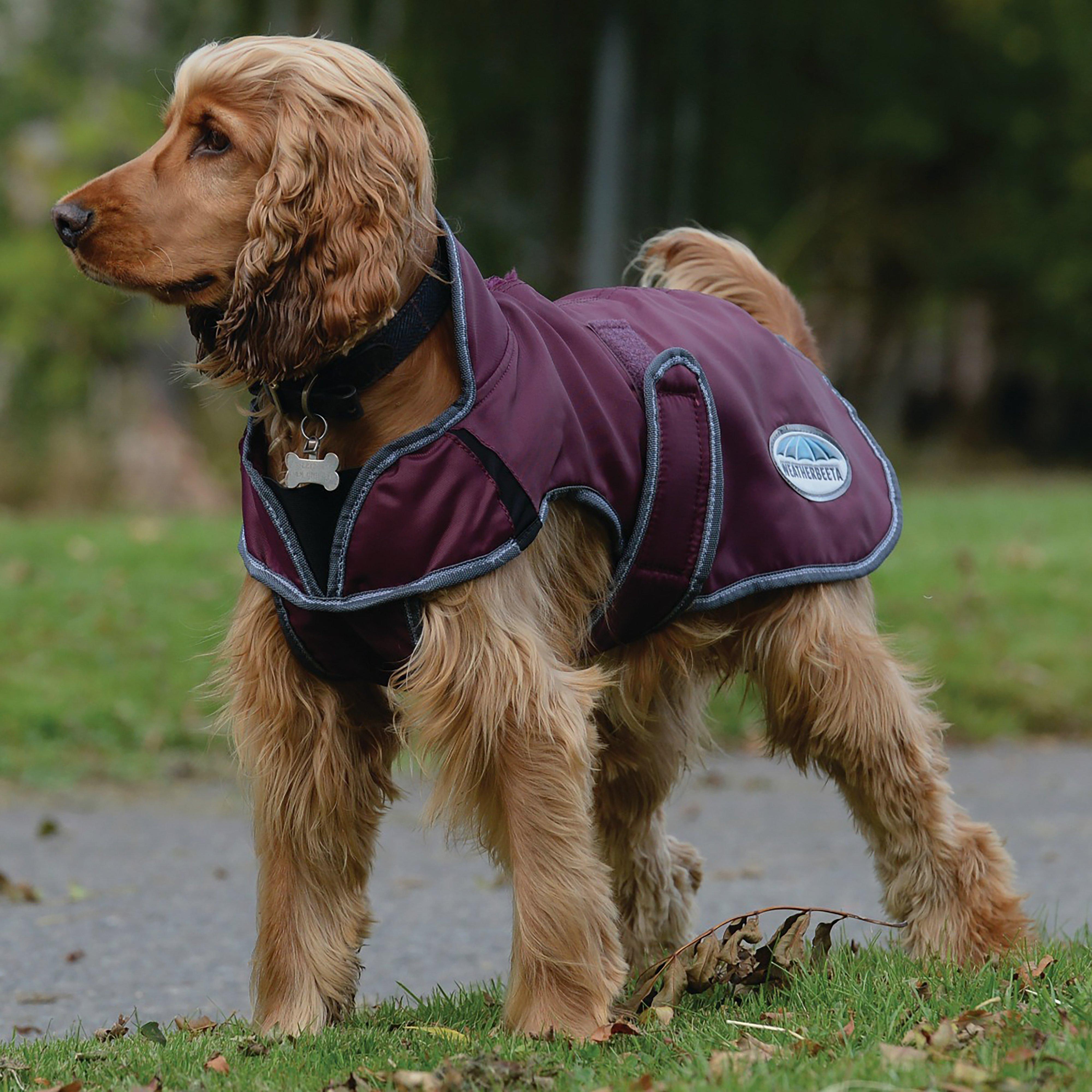 Comfitec Windbreaker Free Deluxe Dog Coat