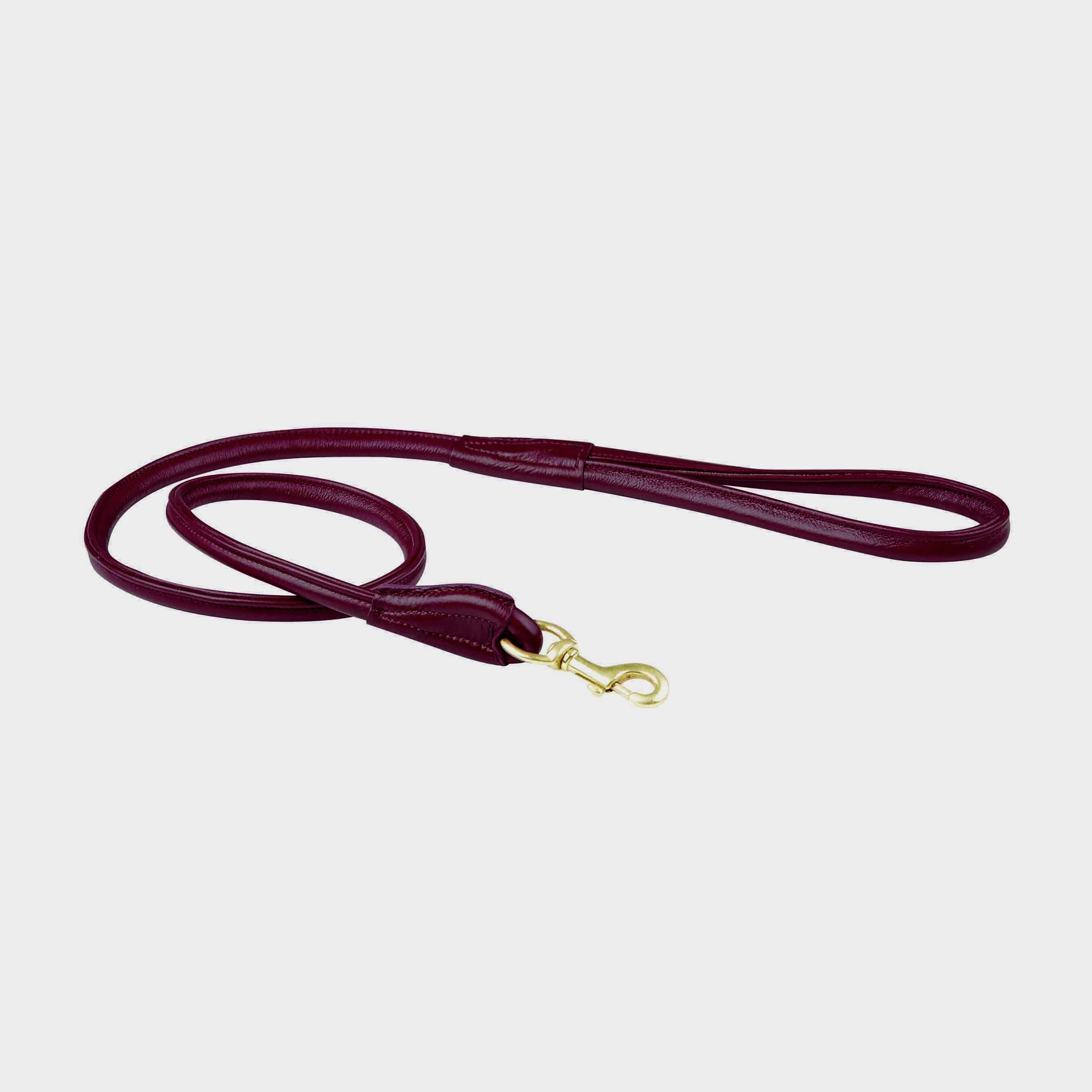 Rolled Leather Dog Lead