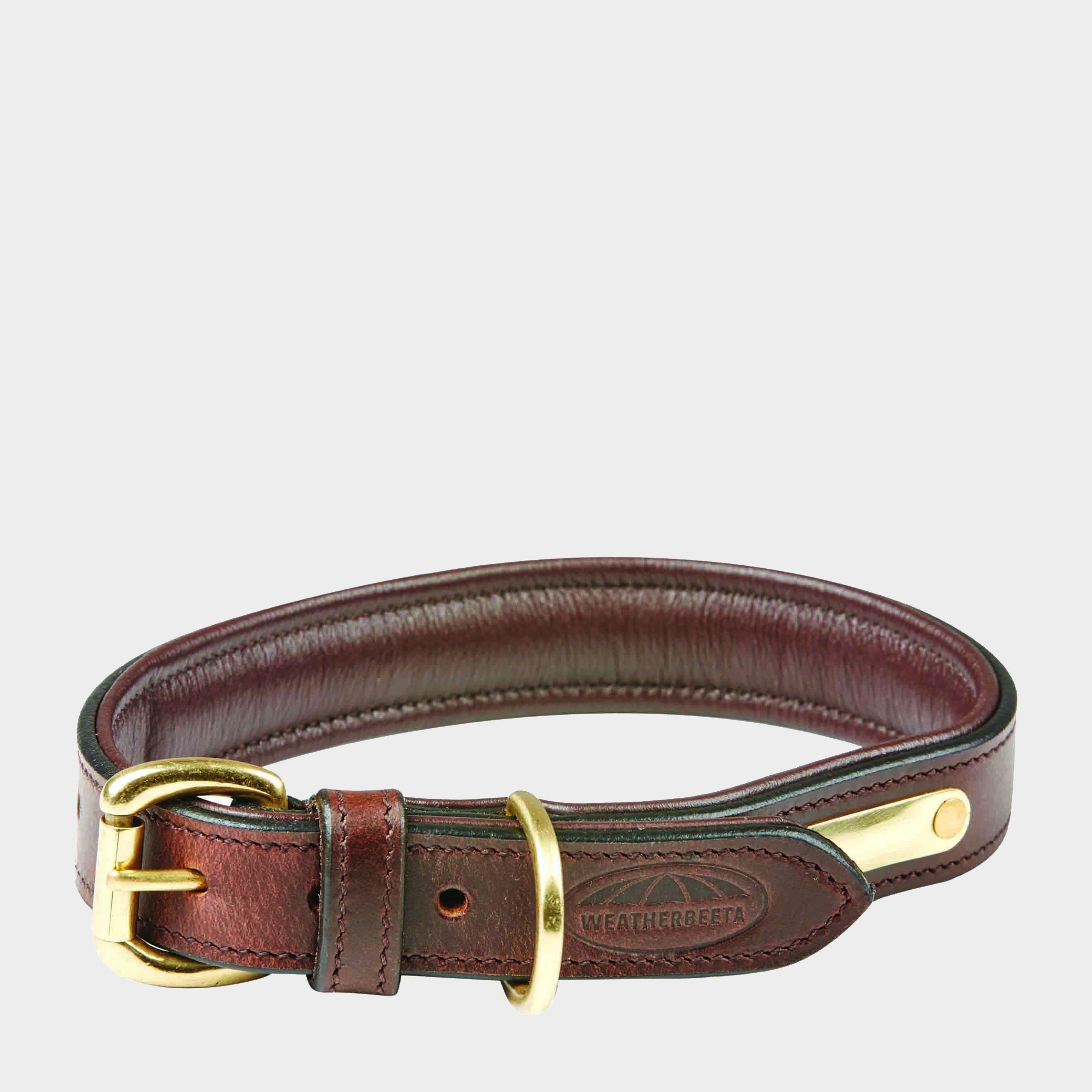 Padded Leather Dog Collar