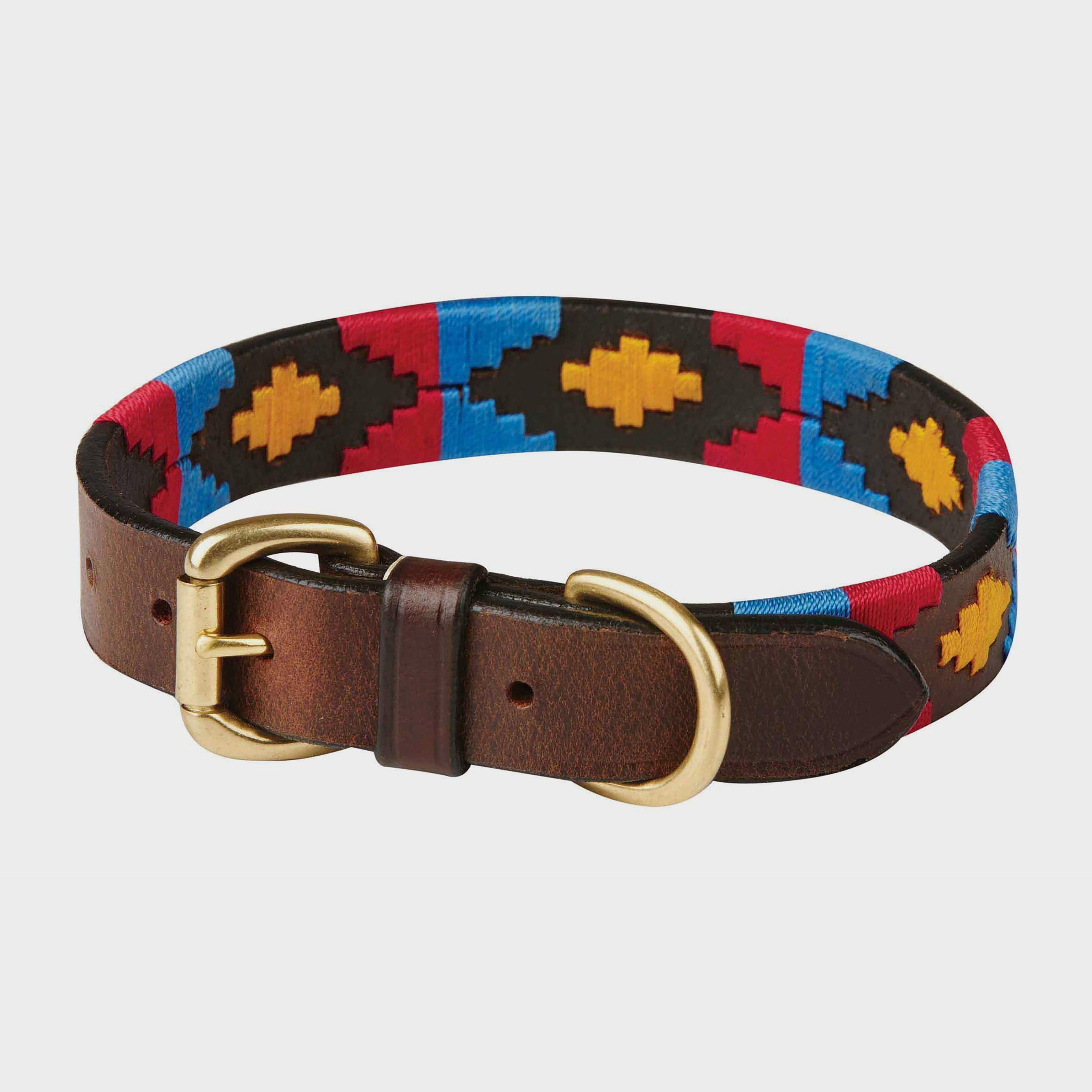 Polo Leather Dog Collar