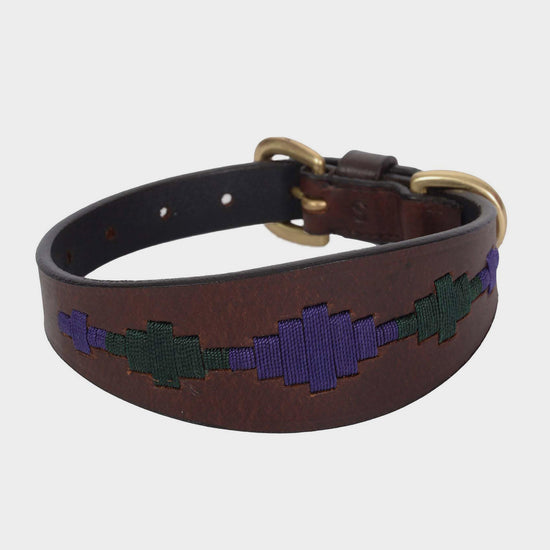 Lurcher Polo Leather Dog Collar