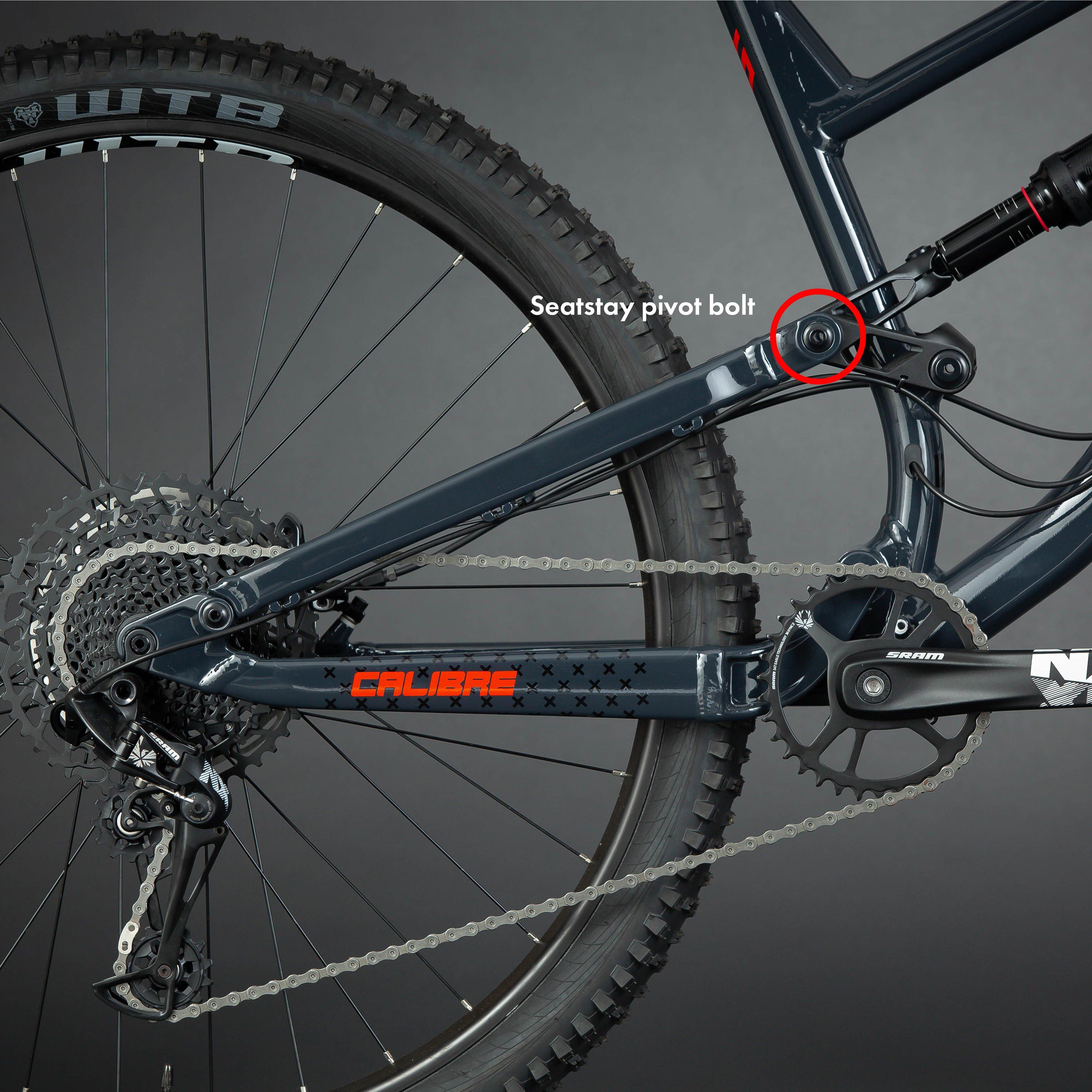 Sentry Seatstay Pivot Bolt