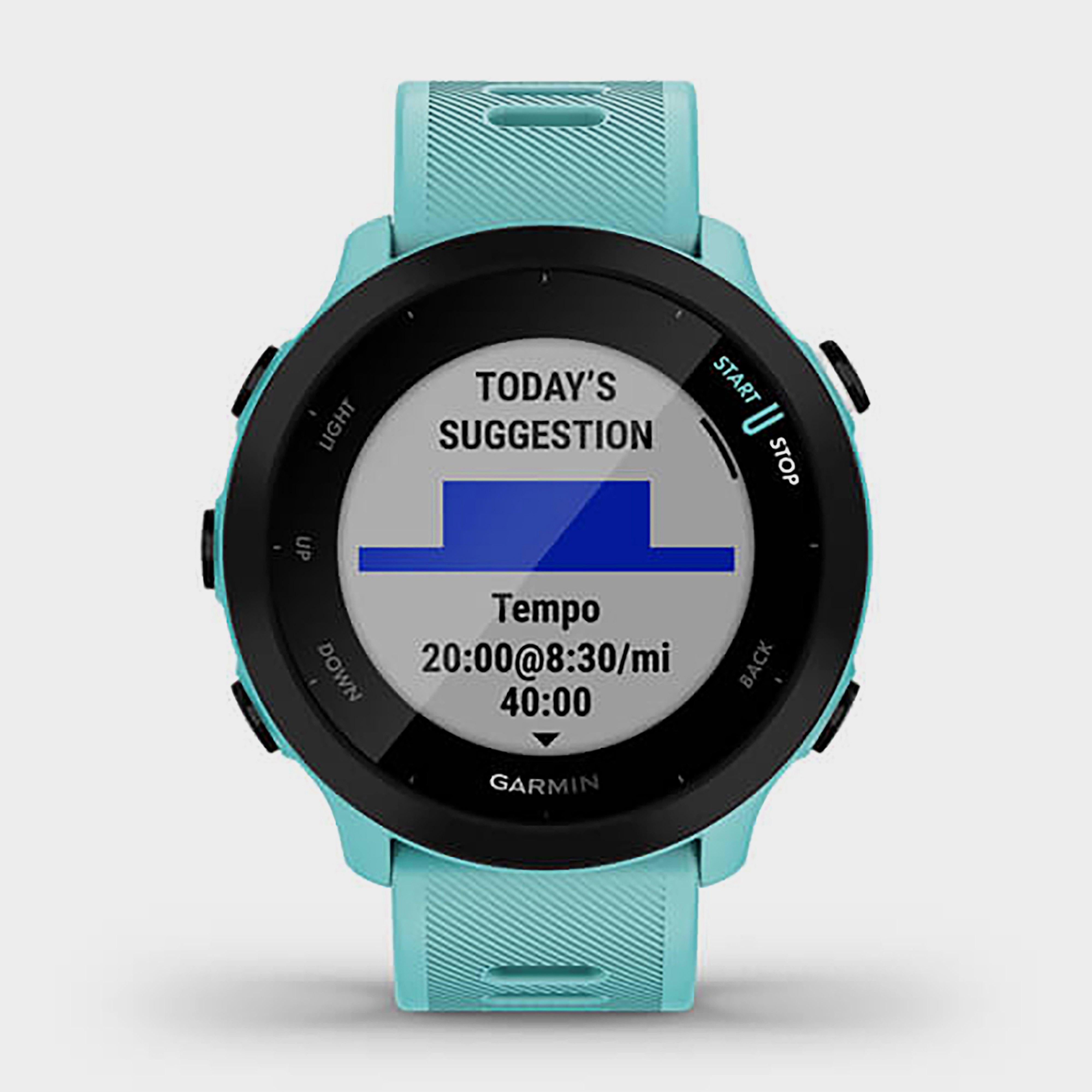 Forerunner 55 GPS Running Smartwatch