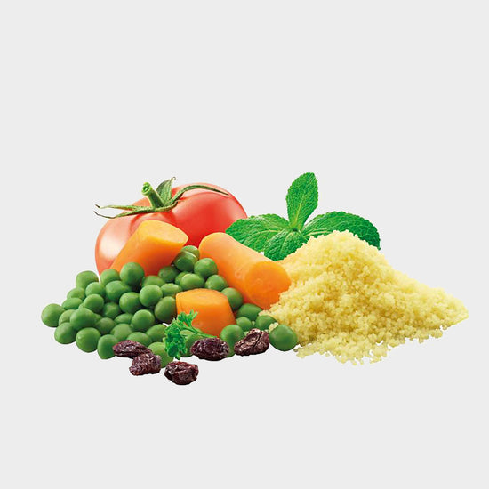 Vegan Couscous 600