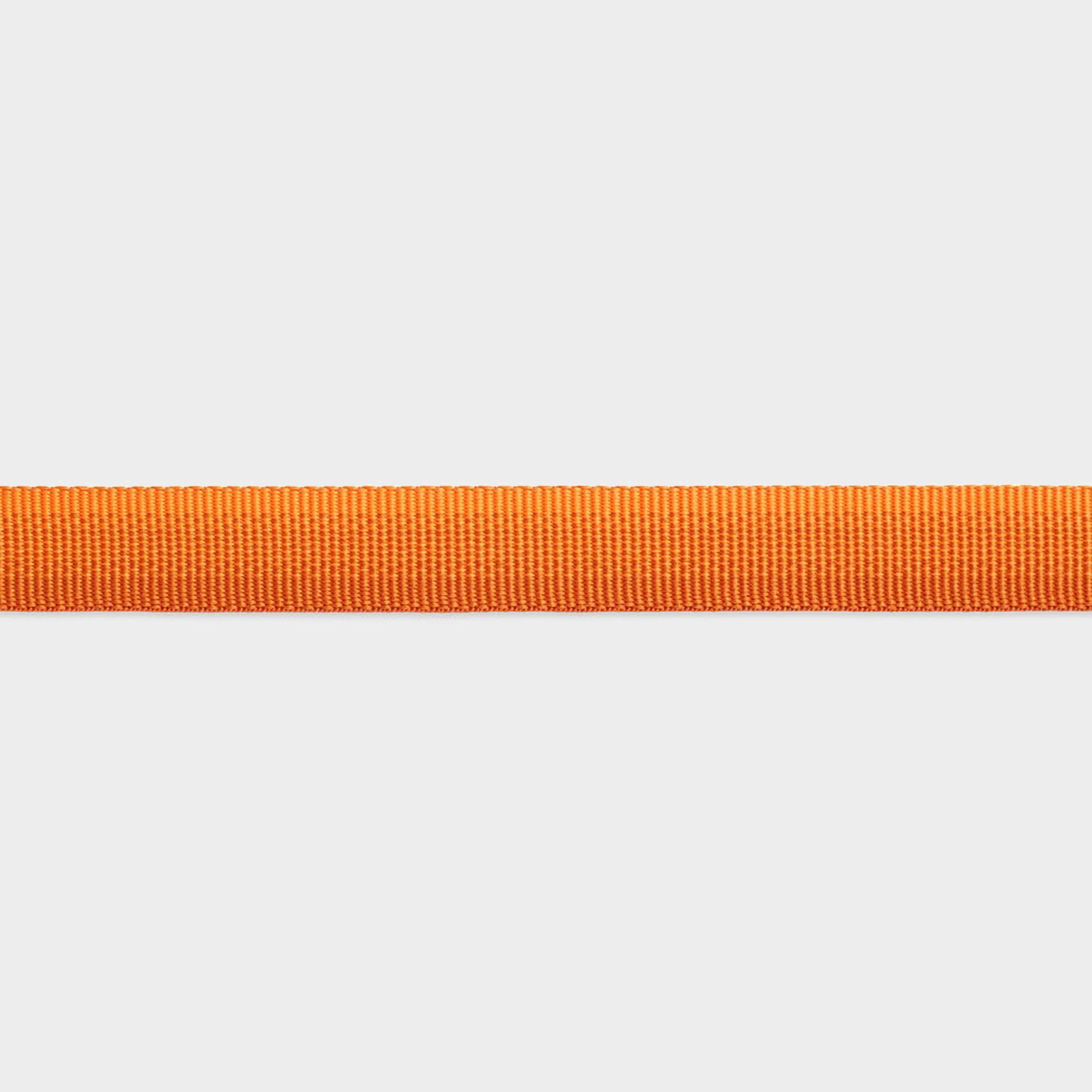 Front Range Dog Lead Campfire Orange