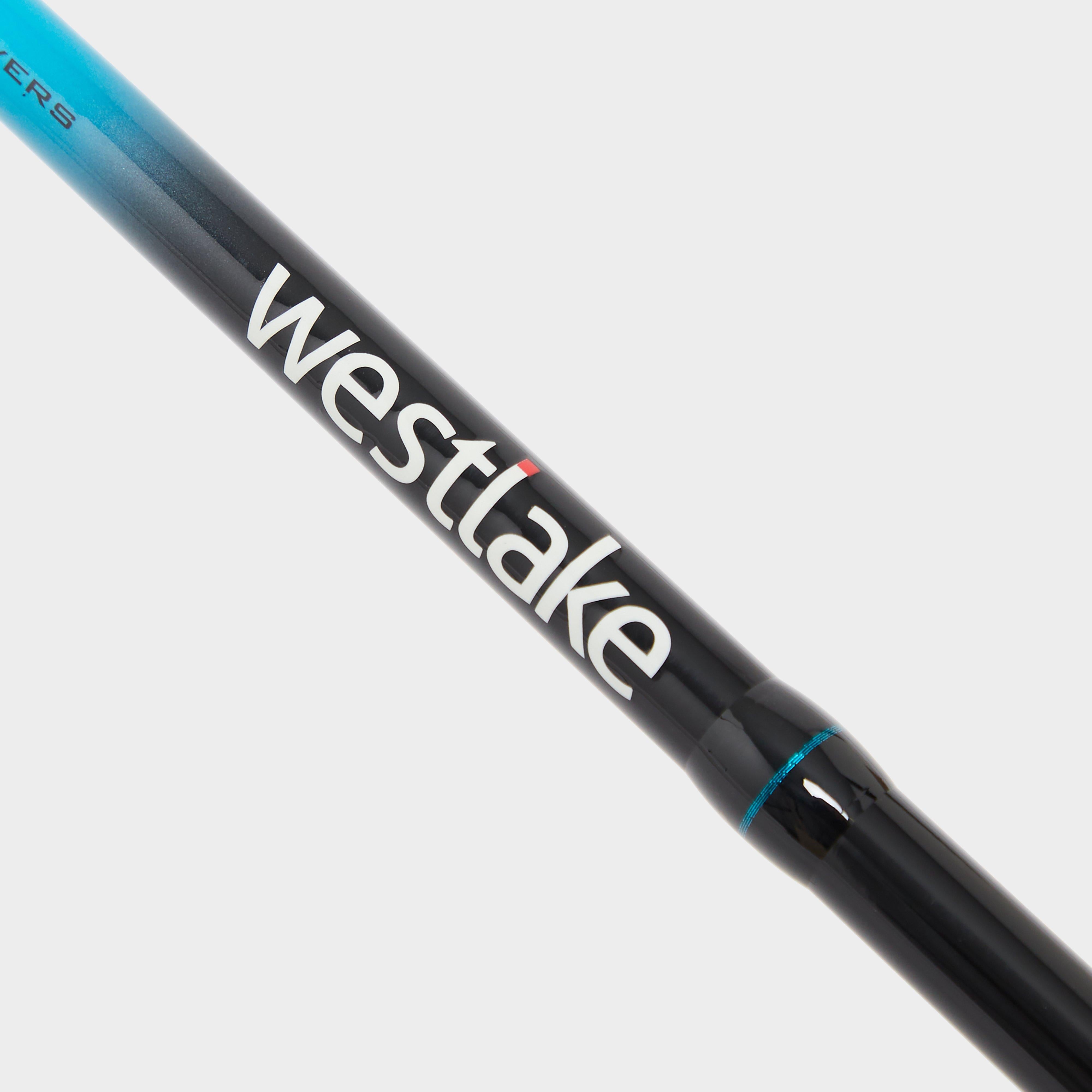 Xpanse 10ft Rod