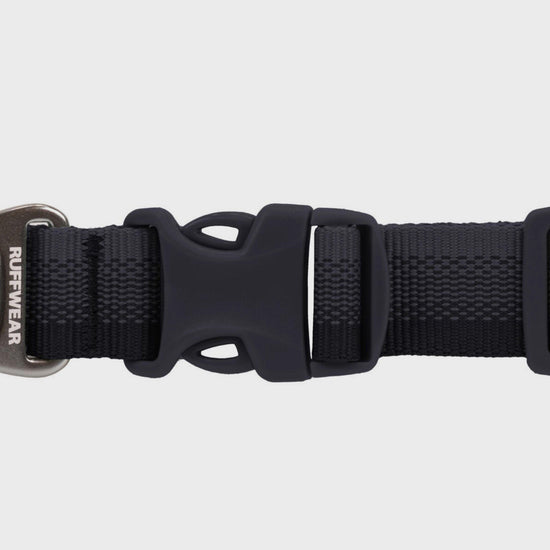 Front Range Dog Collar Basalt Grey