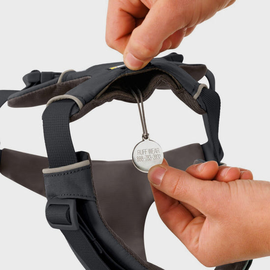 Front Range Dog Harness Twilight Grey 1