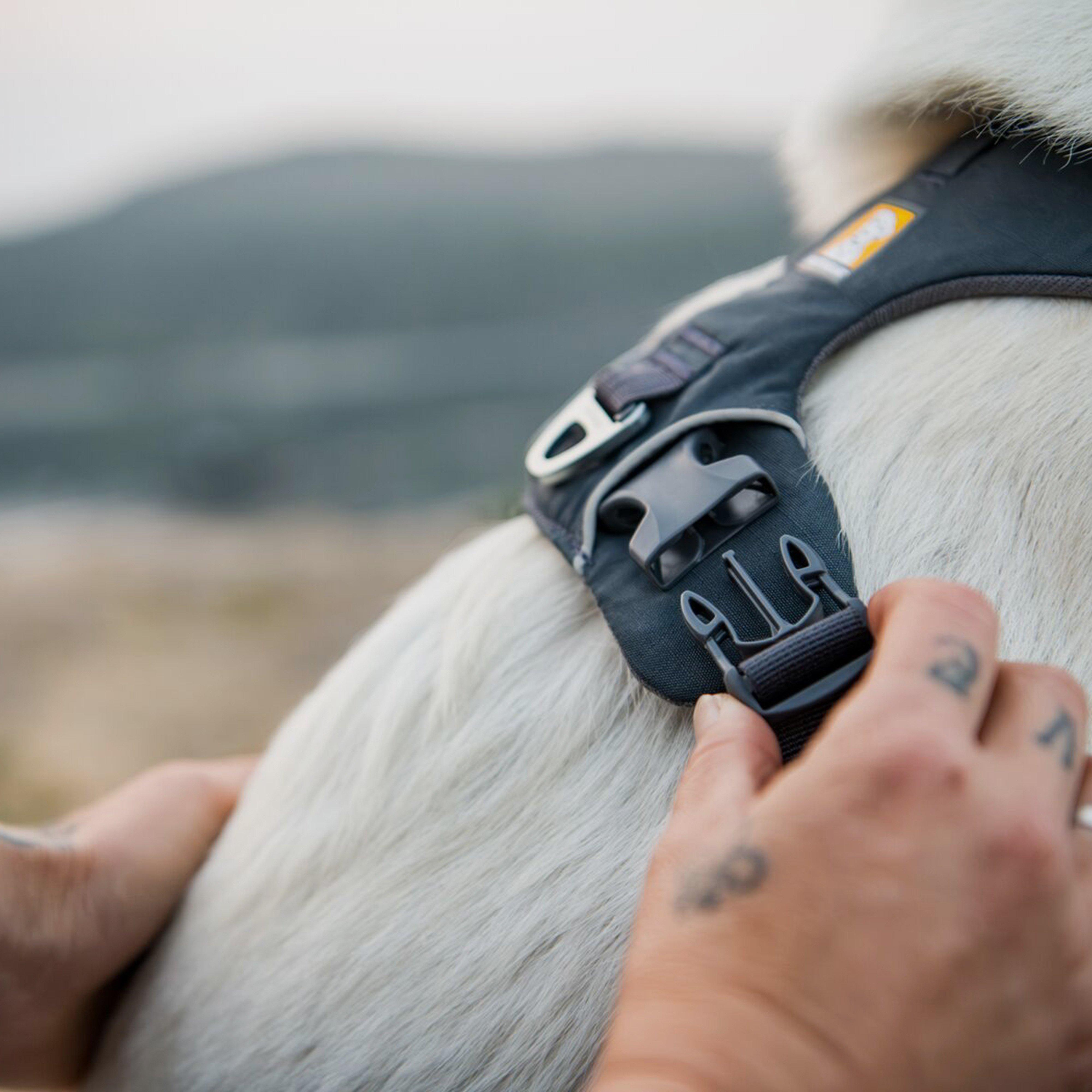 Front Range Dog Harness Twilight Grey 1
