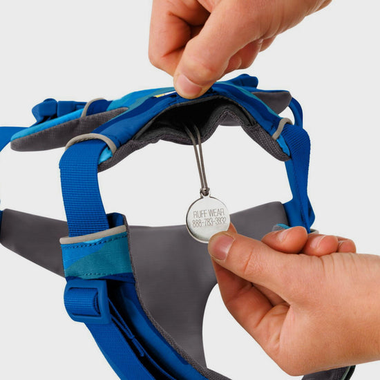 Front Range Dog Harness Coastal Mountains