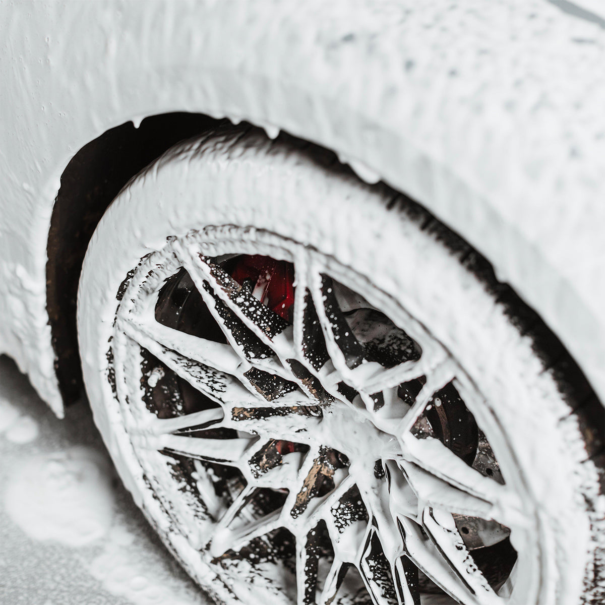 Polar Blast 2.5L