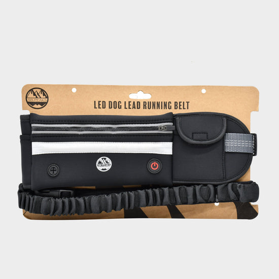 LED Dog Lead Run Belt