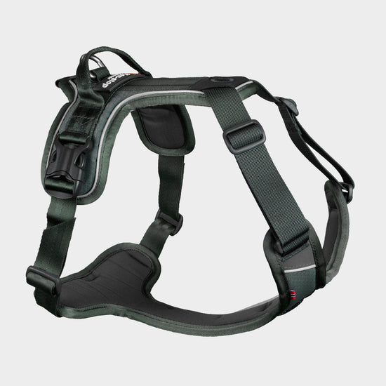 Ramble Harness