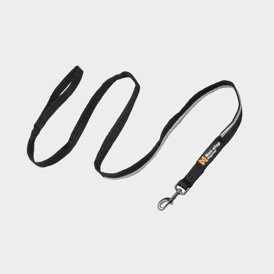 Strong Leash
