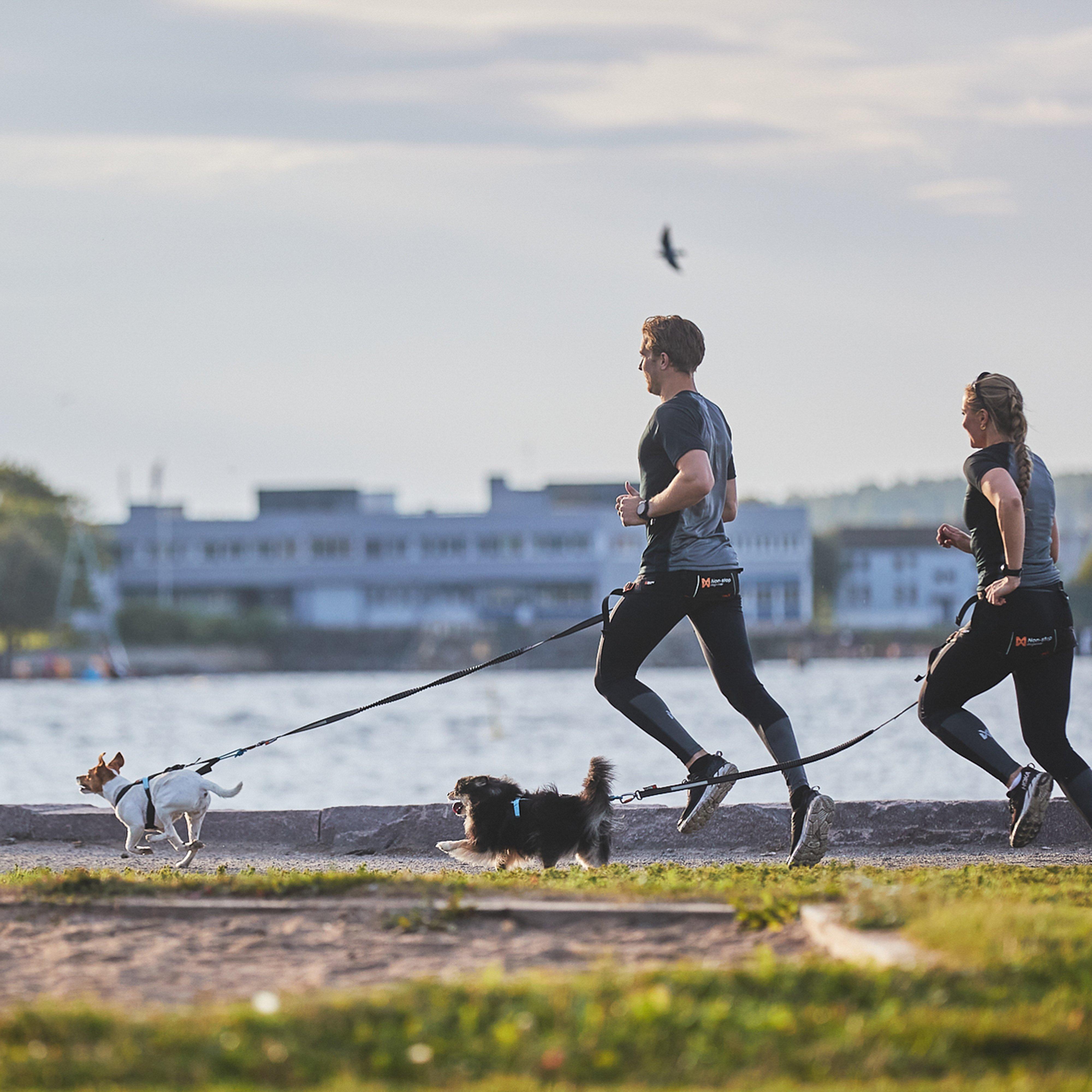 Touring Bungee Leash