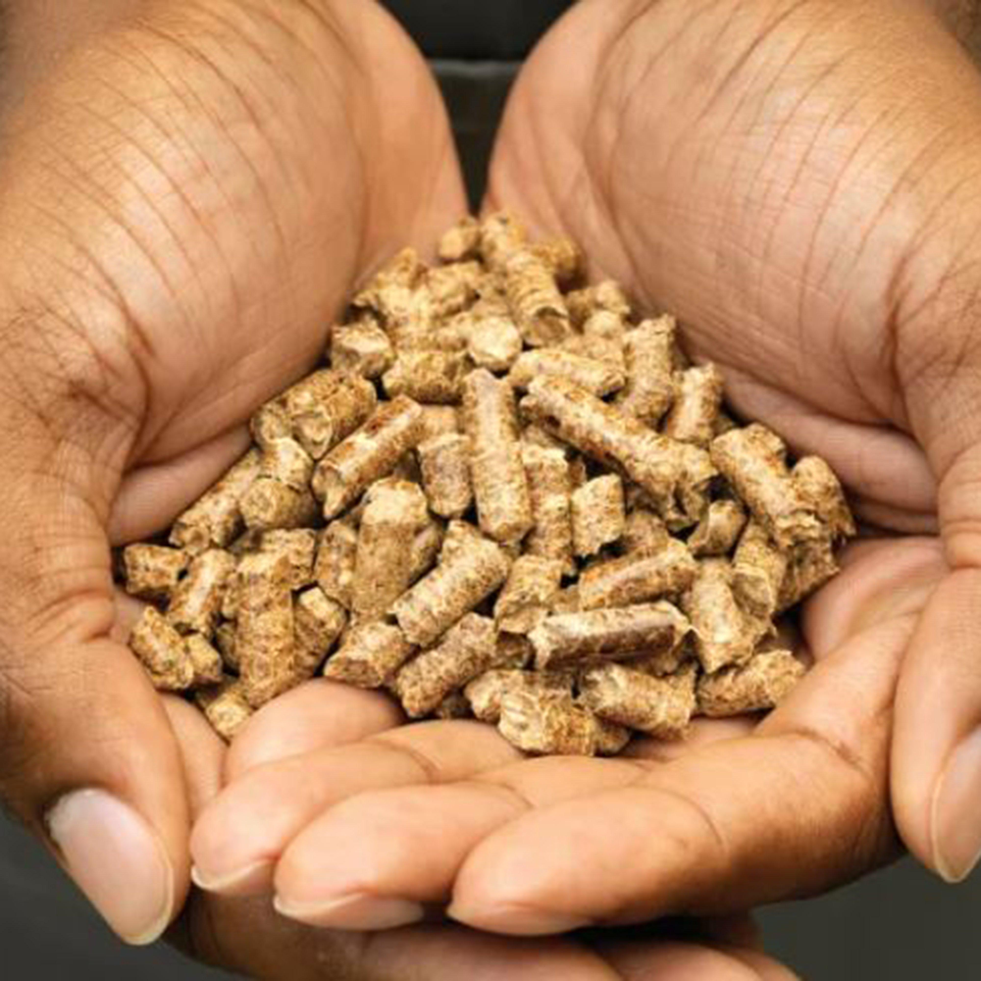 Woodfire All Purpose Pellets 900g