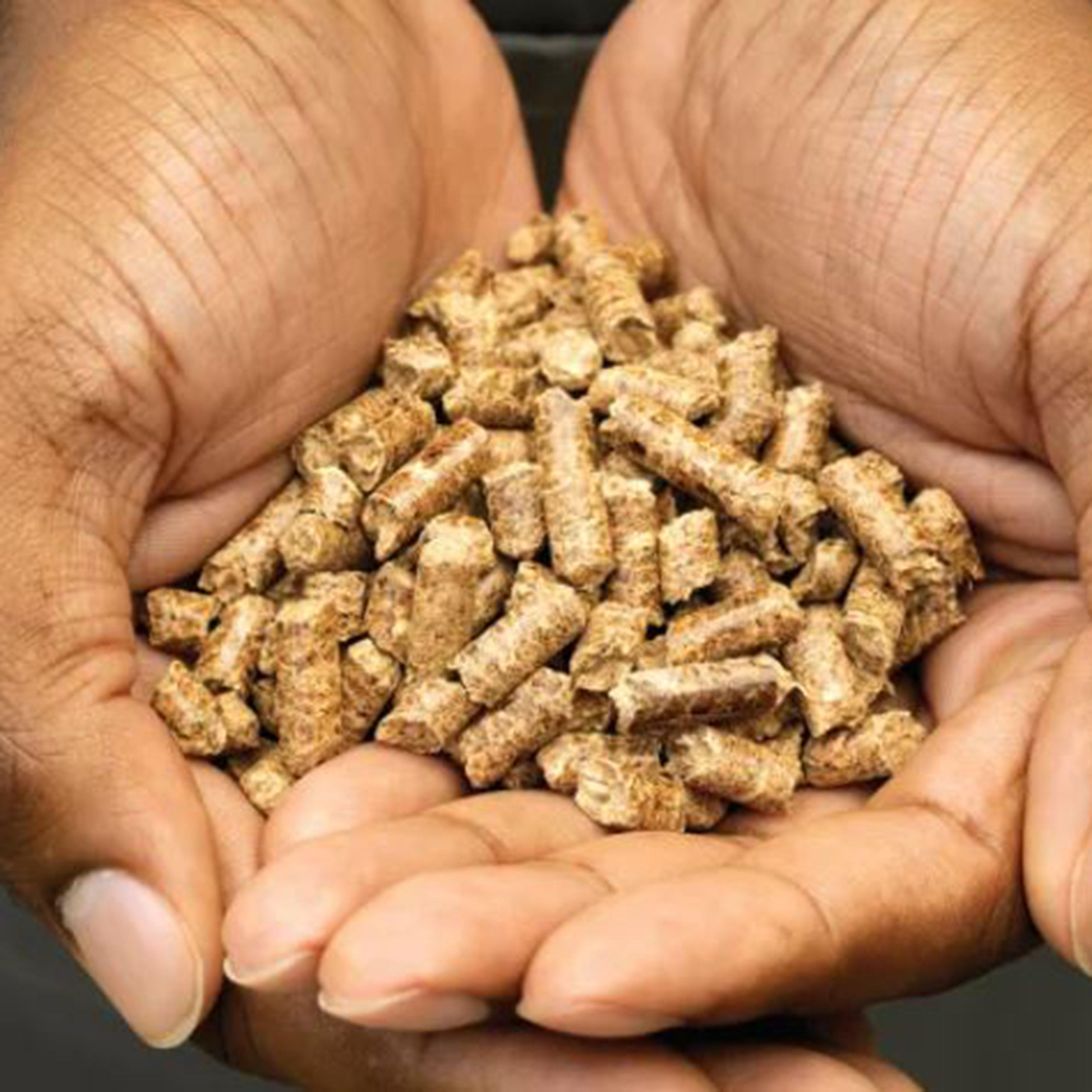 Woodfire Robust Pellets 900g