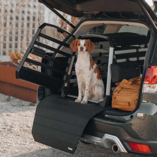 Allax Medium Compact Dog Crate