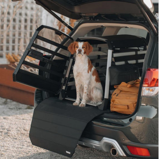 Allax Bumper Protector Standard