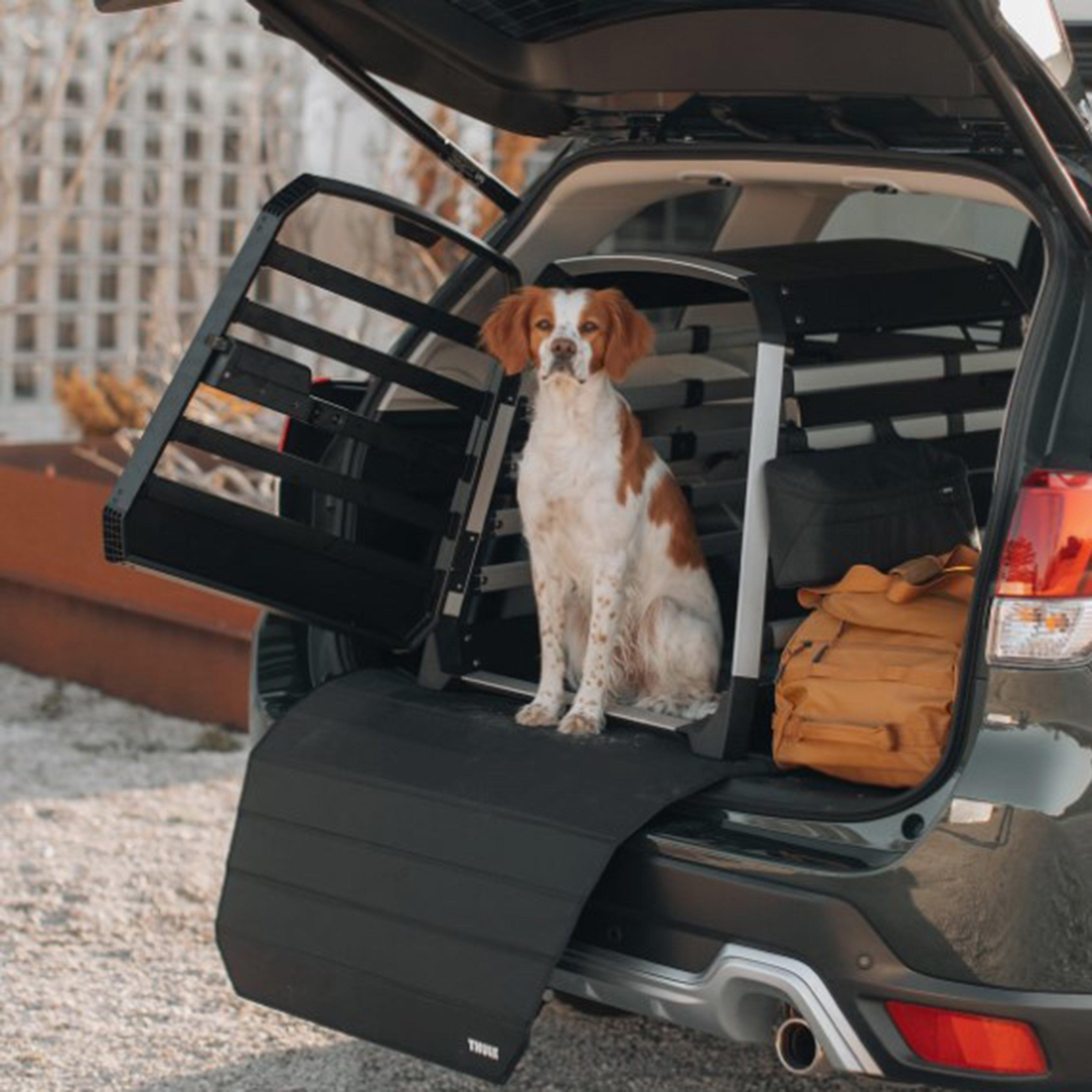 Dog Crate Mat Standard