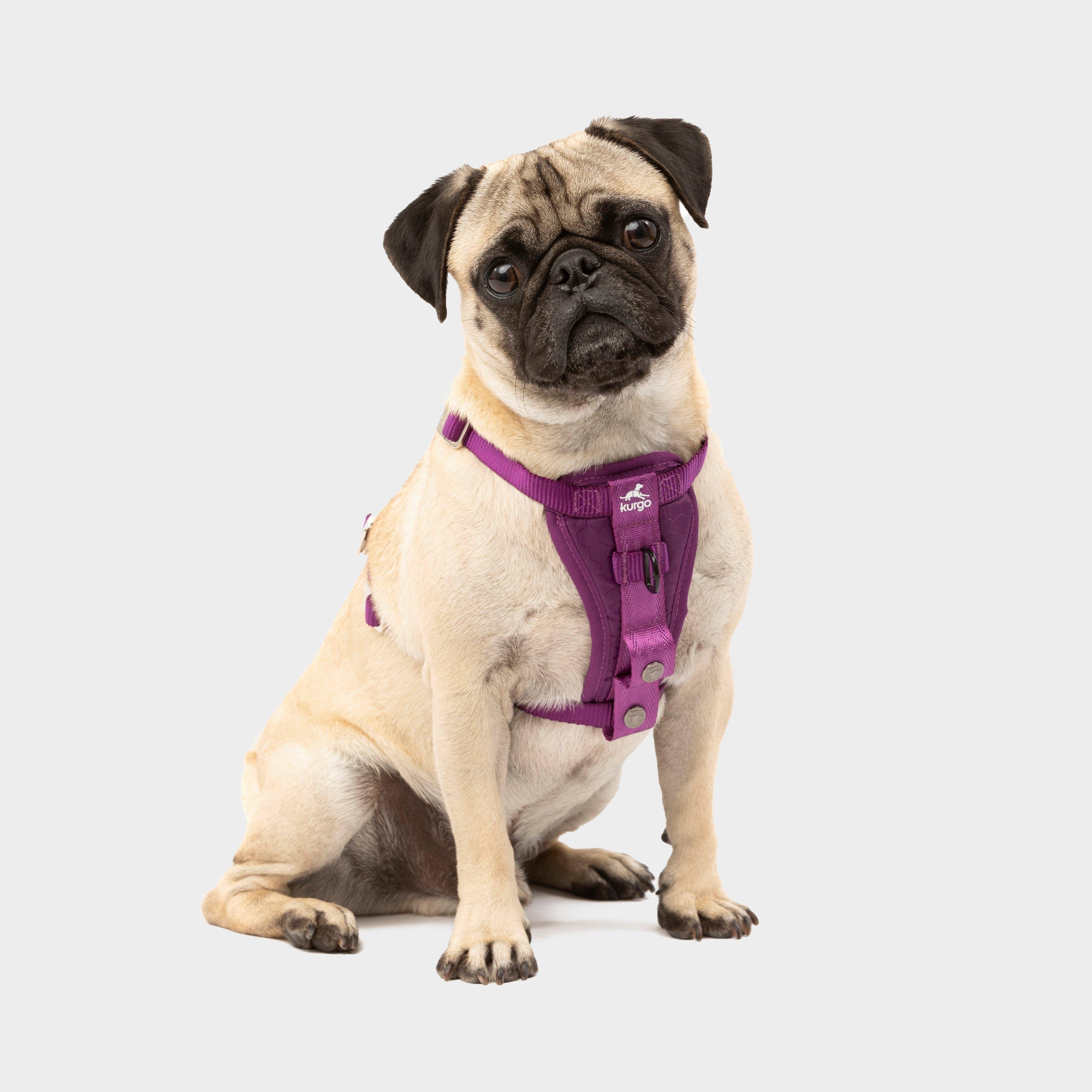 Tru-Fit Smart Dog Walking Harness