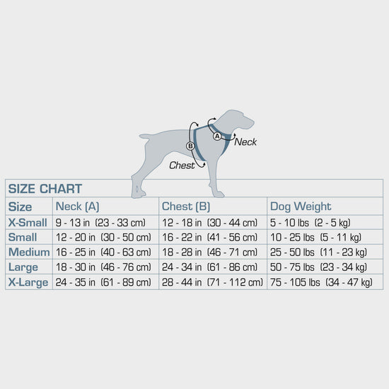 Tru-Fit Smart Dog Walking Harness