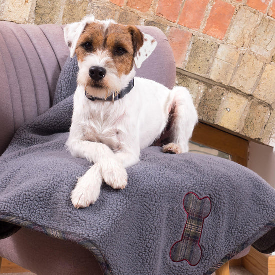 Tweed Pet Comforter Blanket