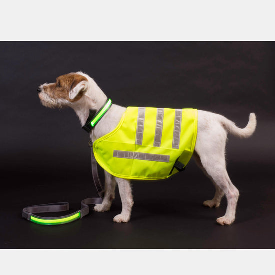 Reflective Flashing Dog Collar Large